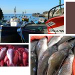 La pesca puede ser sostenible