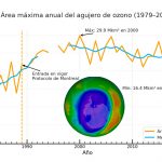 Ozono global bajo control