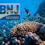 Ratificado el Tratado de Alta Mar ¿y ahora…?