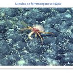 Minería submarina, permanente actualidad