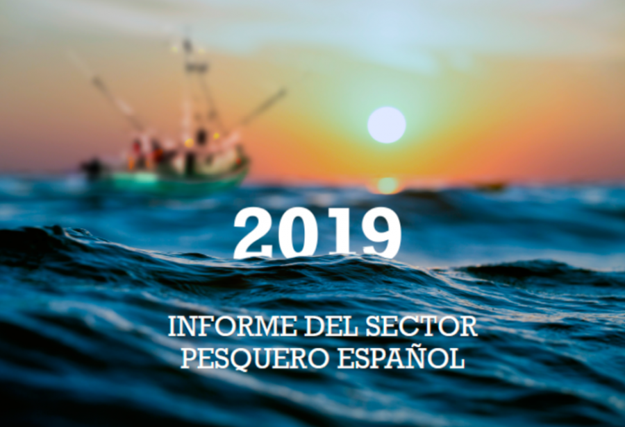 Informe del sector pesquero español (2019)