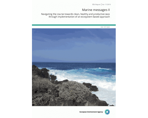 Navigating the course towards clean, healthy and productive seas through implementation of an ecosystem‑based approach (2019)