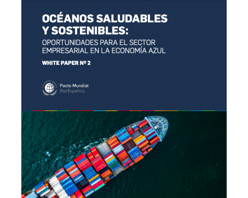 Océanos saludables y sostenibles: oportunidades para el sector empresarial en la Economía Azul (2019)