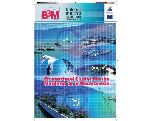 B3M nº8   Boletín Marino Marítimo Macaronésico (junio 2013)
