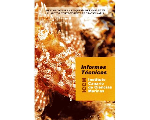 Descripción de la pesquería de enmalle en el sector norte-noreste de Gran Canaria. Informe Técnico nº1 ICCM (1995)